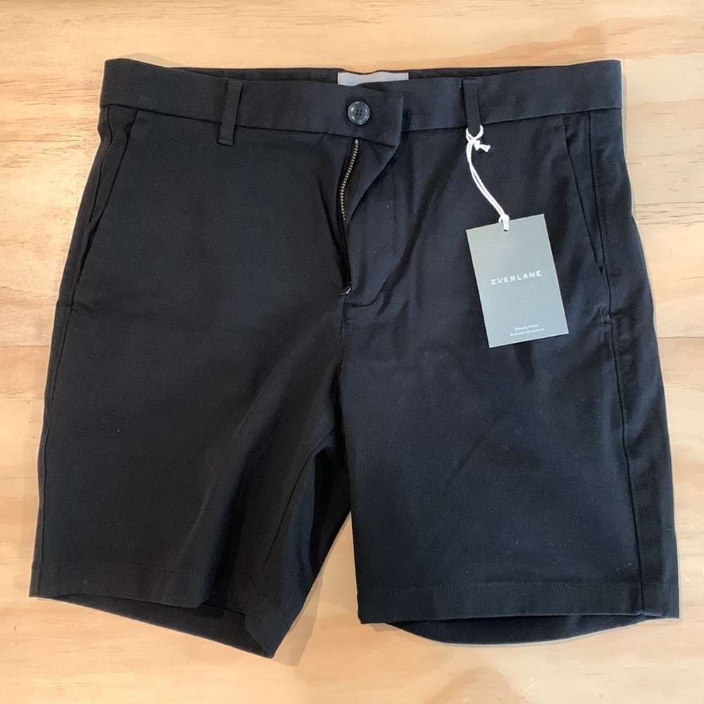 Everlane Performance Chino 7” Short